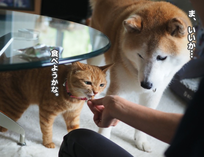 18日夕ブログ7