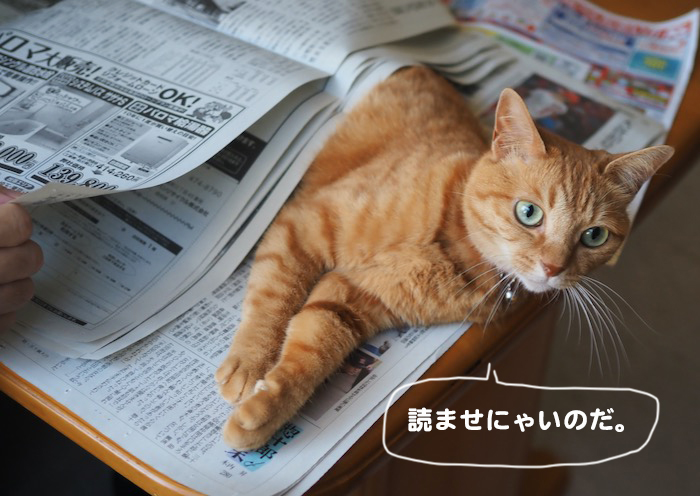 5日ブログ２