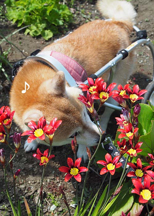 21日午後ブログ２