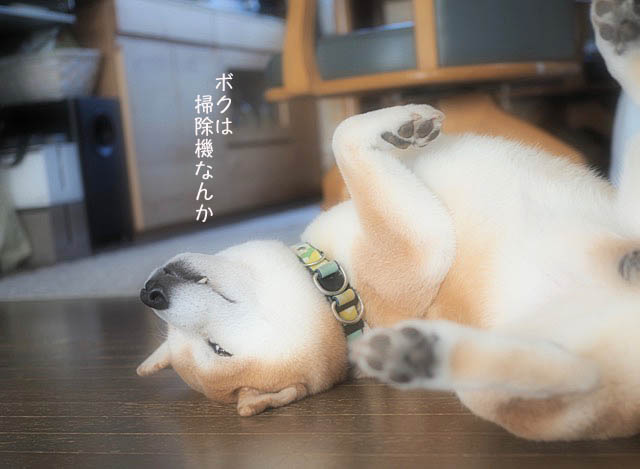 3日ブログ6