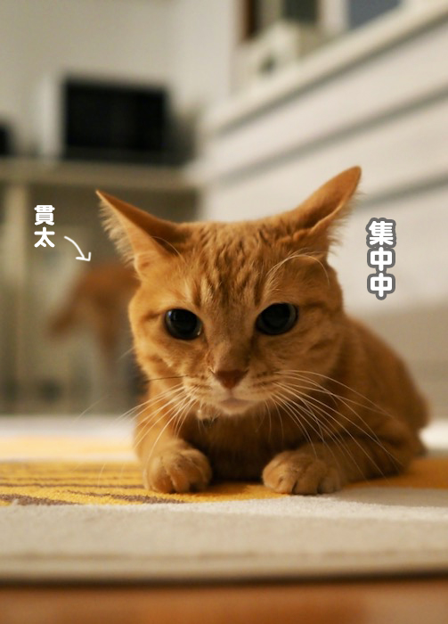 22日夕ブログ２