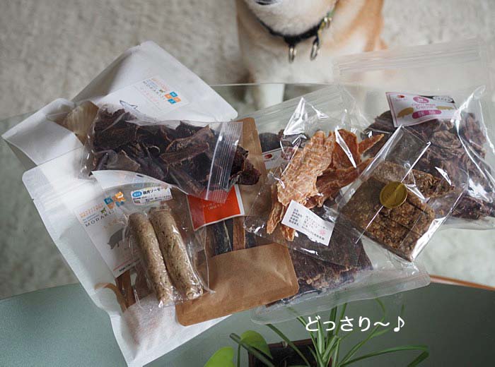 3日ブログ２