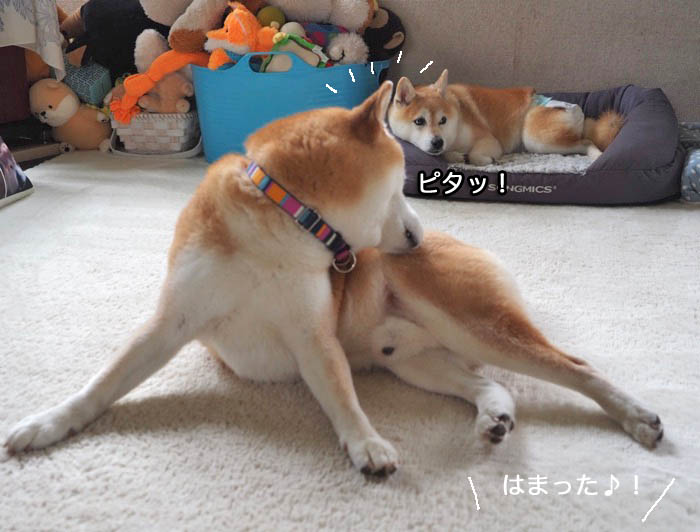 31日ブログ７