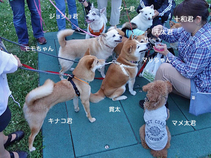 6日午後ブログ7