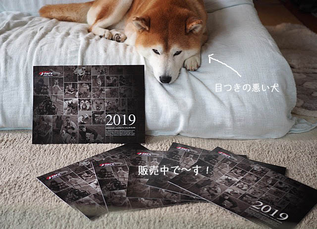 20日夜ブログ2