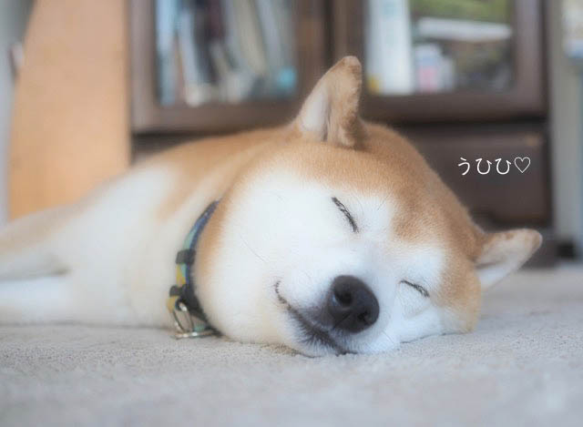 9日ブログ３
