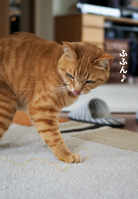 30日夕ブログ６