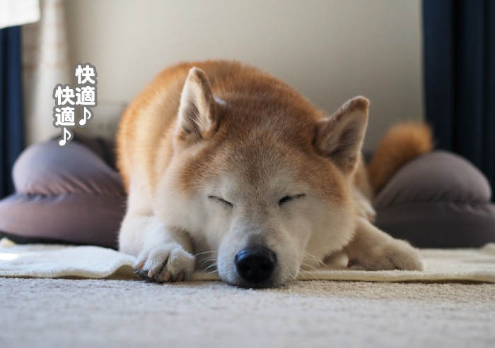 19日夕ブログ２