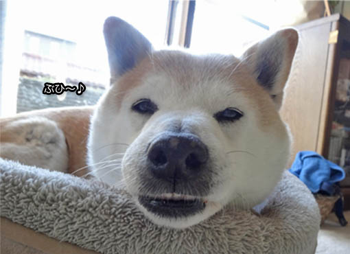 14日ブログ２.jpg