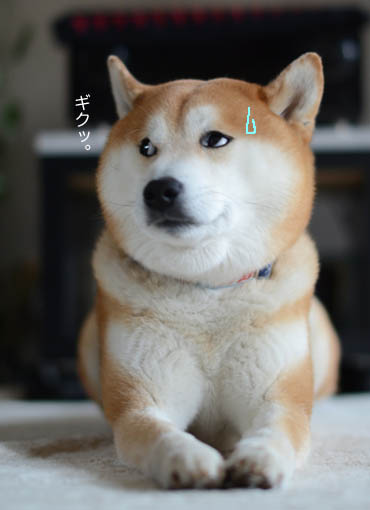 8日ブログ８.jpg