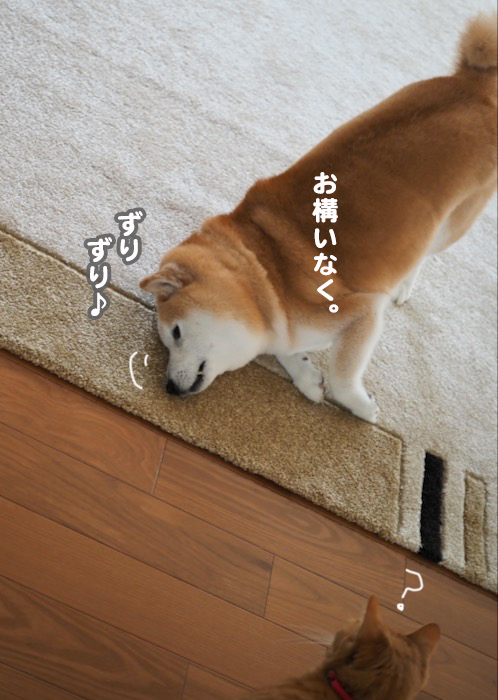 30日ブログ４
