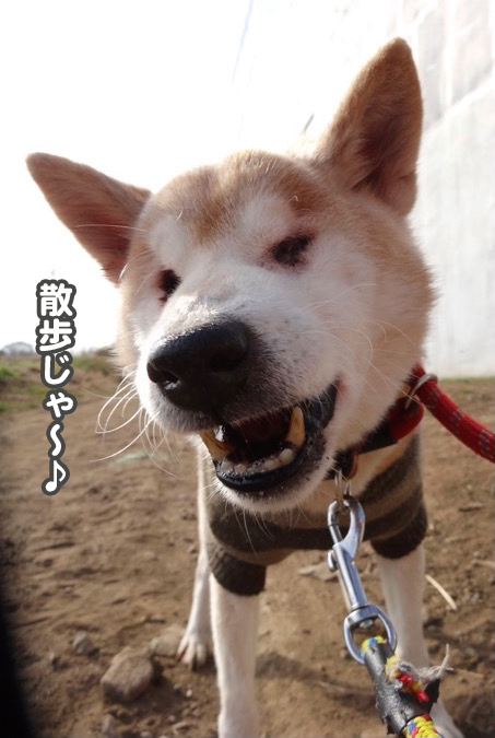 18日夕ブログ４
