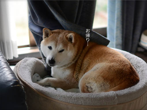 28日ブログ5.jpg