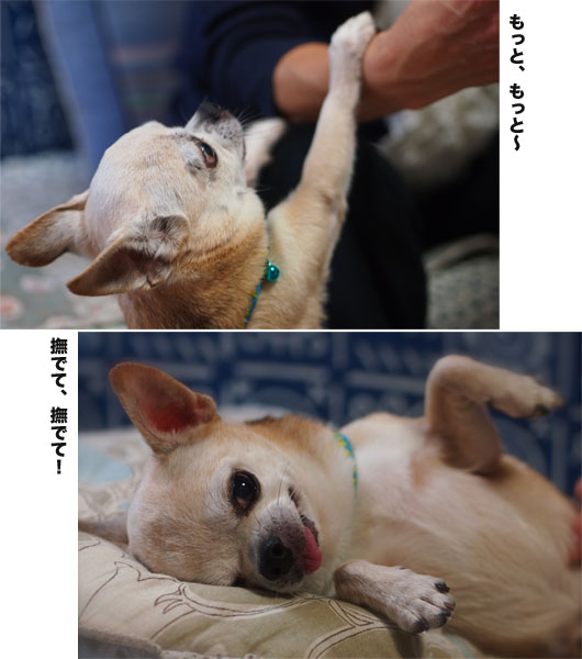 11日ブログ3.jpg