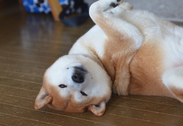 20日ブログ6