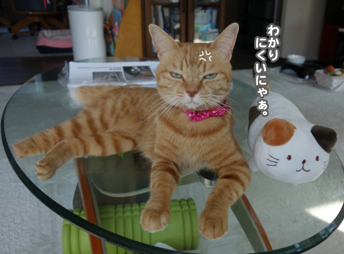 16日昼申し込み1