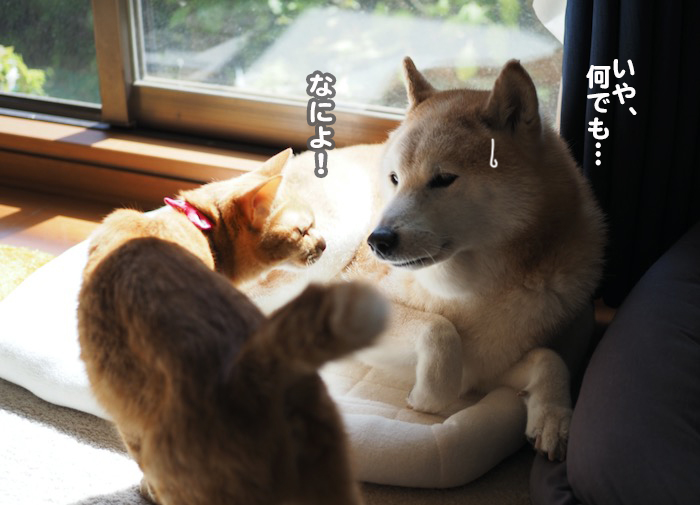 3日ブログ６
