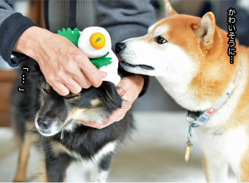 3日ブログ9.jpg