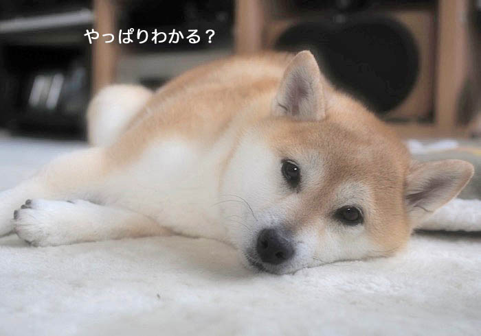 29日ブログ２