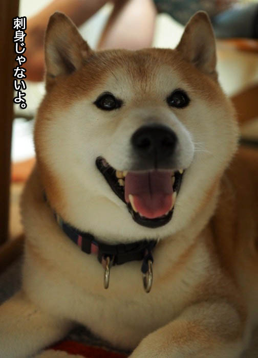 24日夕ブログ１２