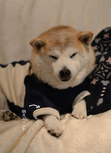 26日ブログ9.jpg