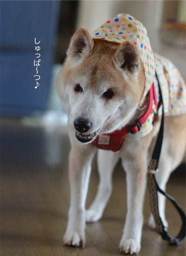 4日ブログ４.jpg