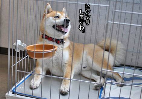 25日ブログ7.jpg