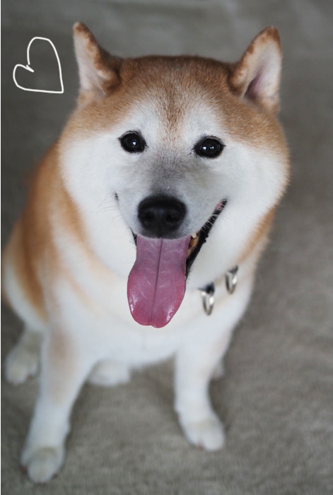 25日夕ブログ１５