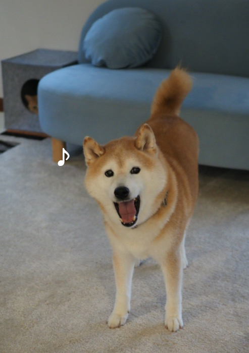3日ブログ１