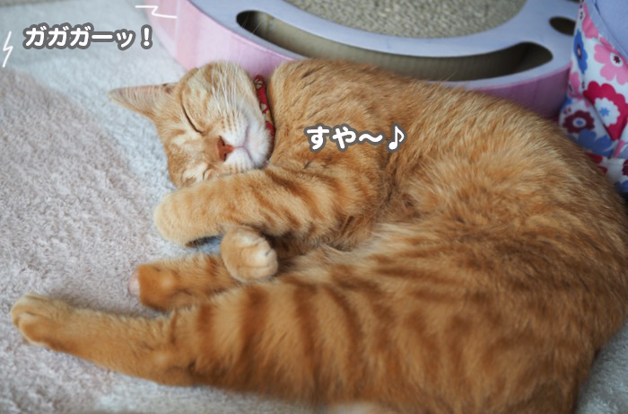 19日午前ブログ２
