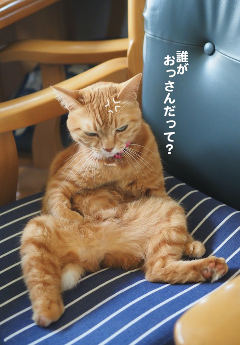 4日夕ブログ４
