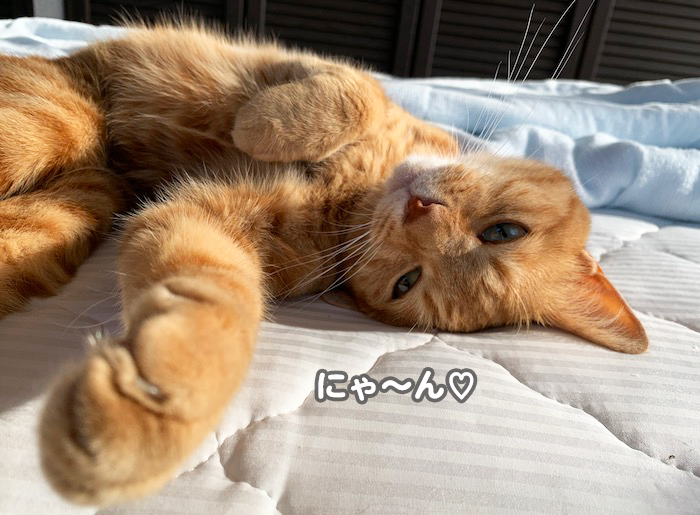 27日夕ブログ４