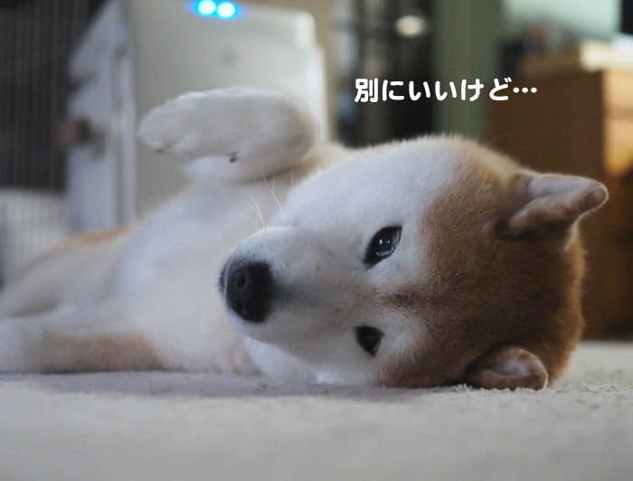 22日夕ブログ６