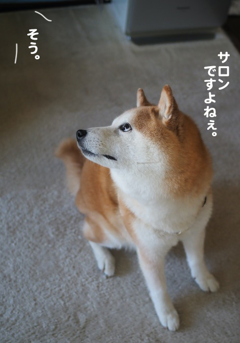 4日夕ブログ８