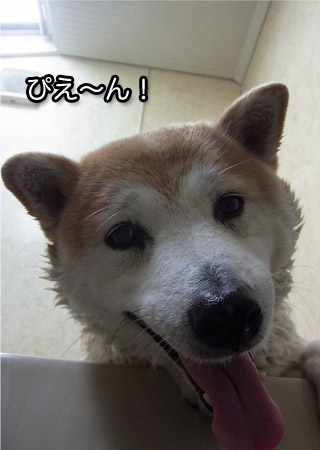 7日ブログ２.jpg