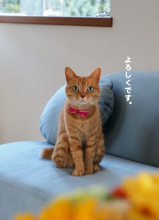 7日ブログ１