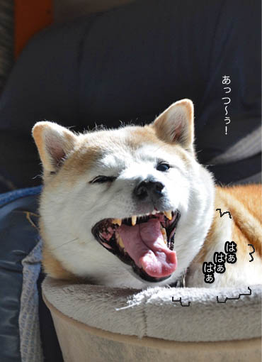 23日ブログ7.jpg