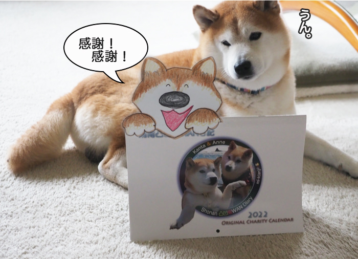 7日午後ブログ４
