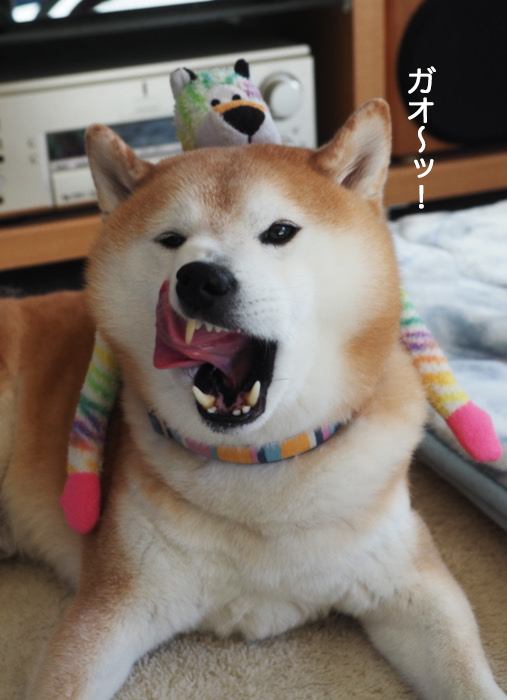 10日夜ブログ３