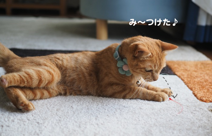 28日夕ブログ２