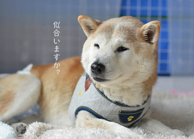 25日ブログ6