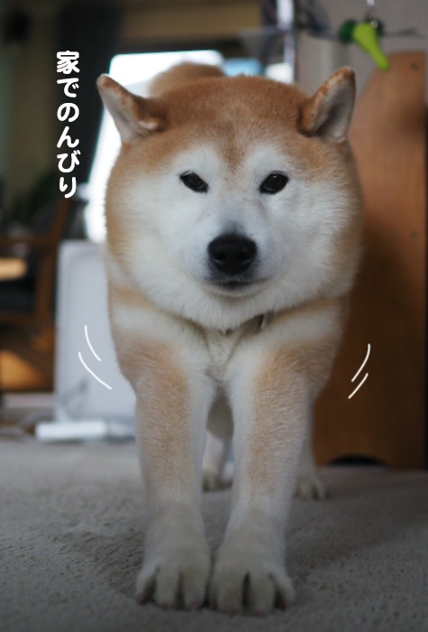 14日夕ブログ４