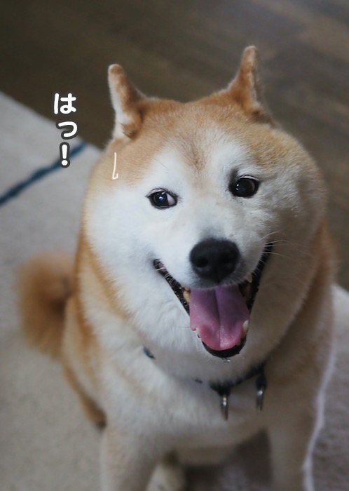 2日夕ブログ２