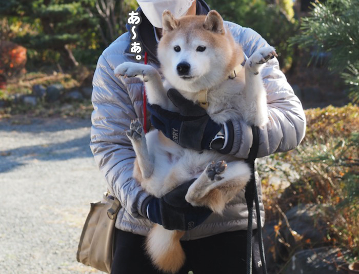 10日夕ブログ１０