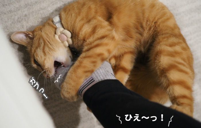3日夕ブログ５