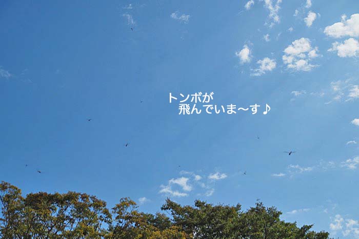 8日午後ブログ３