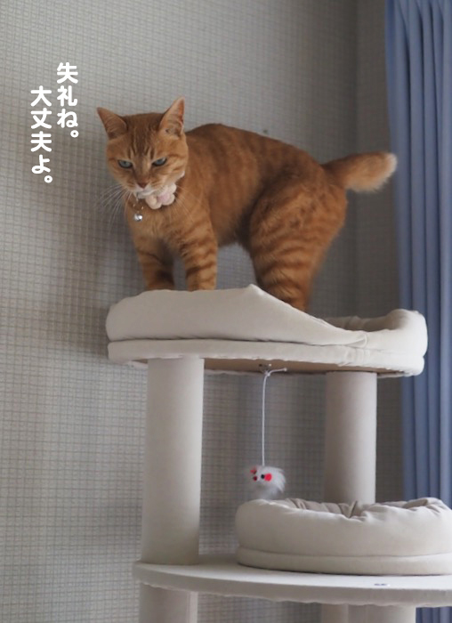 3日夕ブログ５