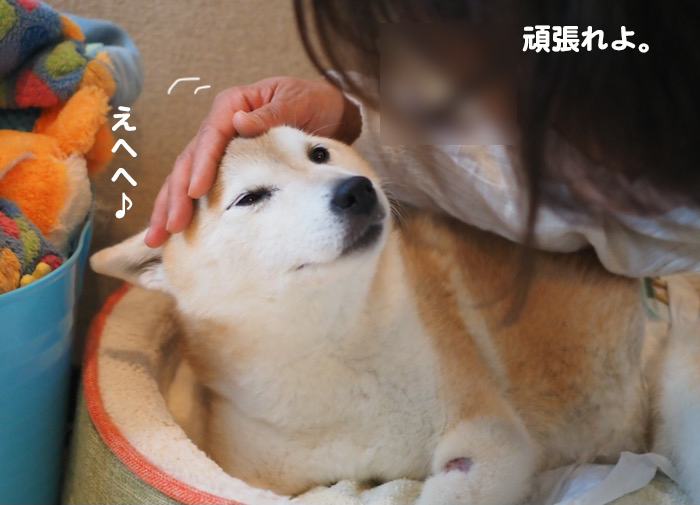 12日夕ブログ９