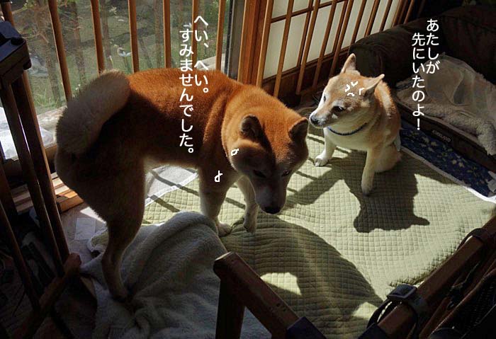 10日午後ブログ４