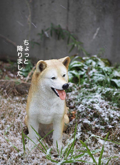 10日朝ブログ１